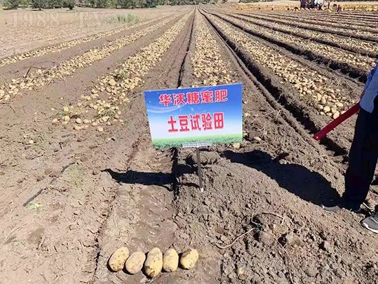     �@�����۷��r(n��ng)�YȦ������ԭ����Ȼ���ͳɱ��߷�Ч�_��(chu��ng)����