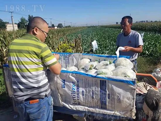     �@�����۷��r(n��ng)�YȦ������ԭ����Ȼ���ͳɱ��߷�Ч�_��(chu��ng)����