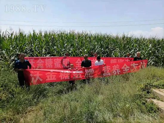     �@�����۷��r(n��ng)�YȦ������ԭ����Ȼ���ͳɱ��߷�Ч�_��(chu��ng)����