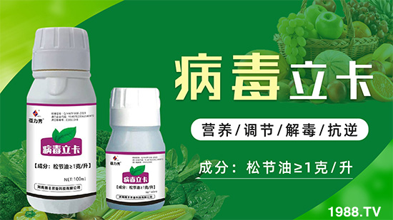 �ƽ�ֲ�ﲡ�������y�}�����ٻ֏�(f��)���C(j��)���@��ˎ���Ͼ͹��ã�