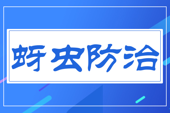 ���x(ch��ng)����