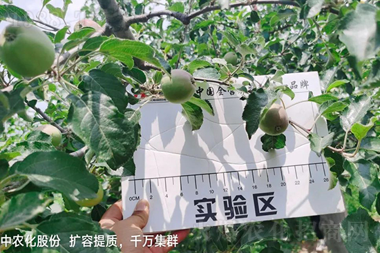     �����״���ɜp���rˎ���������ƹ��ӵ����^Ʒ�|���ɴ����߹�Ʒ�u���������׳��۲��u���߃r�����Թ����״�Ŀǰ��Ȼ���҇����@����Ҫ�����������״��O��������Ǻ���Ҳ�ٲ�����