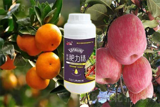 ����׷�ʏ�(f��)�Ϸʺ�߀�����غ����ܶ��˶��e(cu��)�ˣ����������_�x��