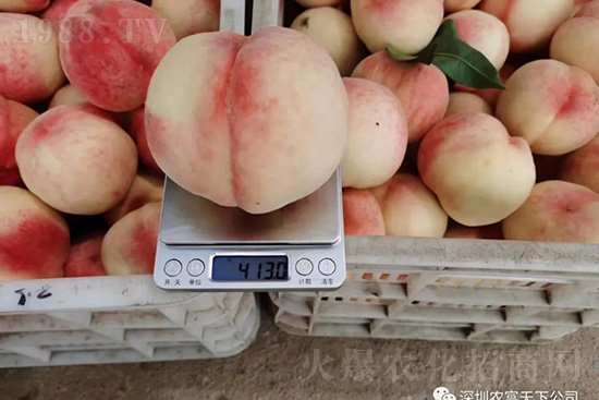 �Ҙ������ô�k���Ҙ����ԭ���A(y��)������