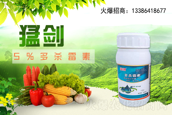 ���x(ch��ng)���r(ji��)��