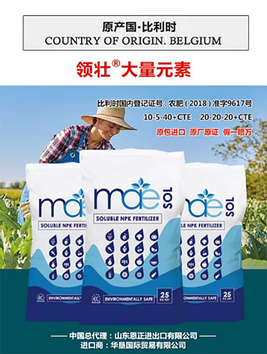 ��500�2000���߶��M(j��n)�ڷʡ��ԃr(ji��)�Ȱ�����