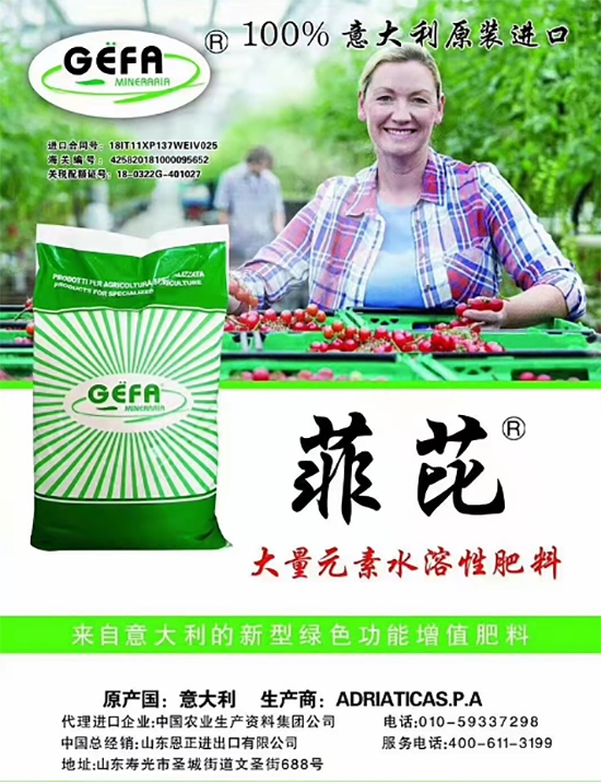 ��500�2000���߶��M(j��n)�ڷʡ��ԃr(ji��)�Ȱ�����