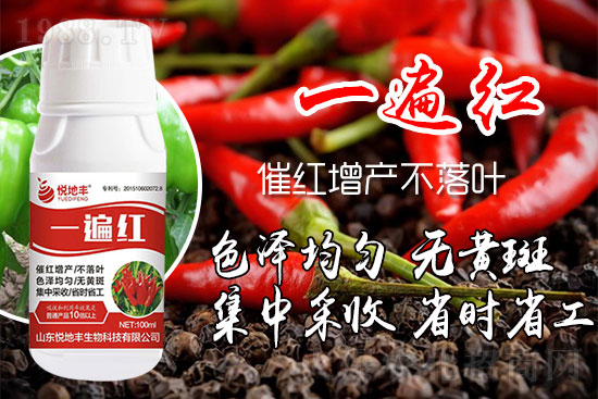 ������ʲôҪ���t���������t��ɫ�Ă�(g��)���Ӻ���