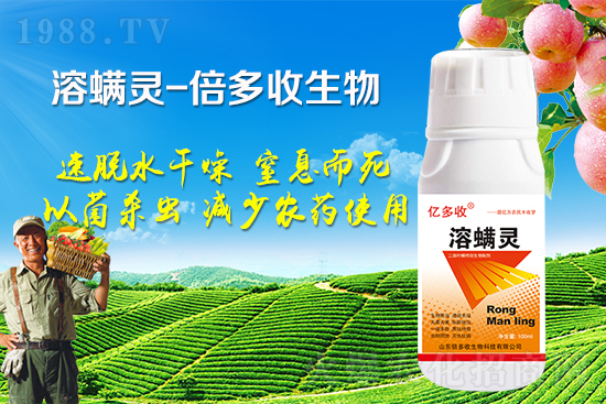 �ļ������~�����l(f��)��ô�k�������~����(y��ng)ԓ���ӷ�����