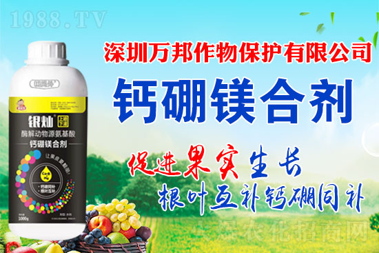 �{(l��n)�@���