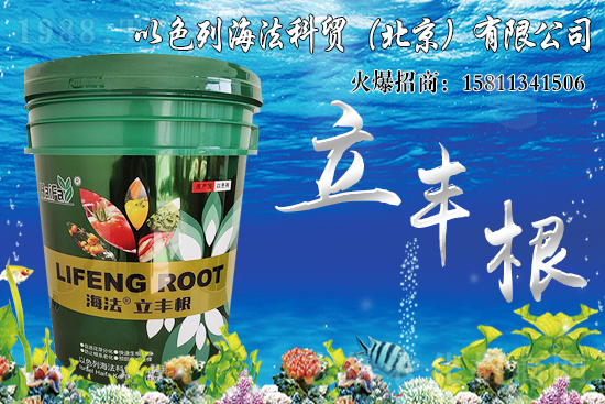 ���������Ч����ô�����Ȃ��y(t��ng)���Ϻ�����