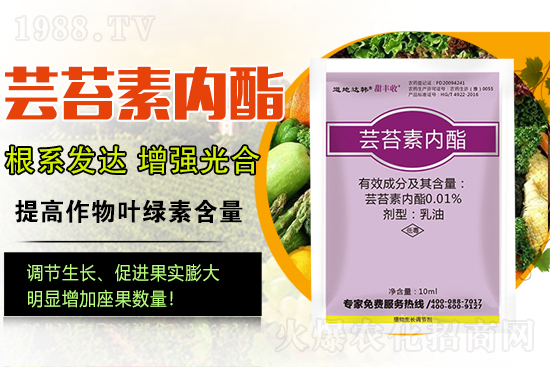 �|̦�؃�(n��i)����ɶ���Q��ֲ�����ˎ���|̦�؃�(n��i)����ô�x��