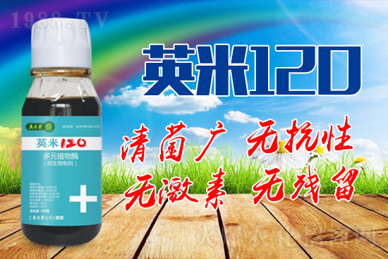 ��轰׷۲��İY����ʲô����轰׷۲����η�����