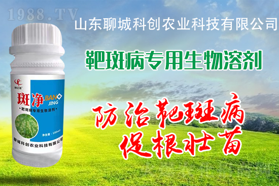 �S�ϰа߲�Σ��������������δ�ʩ����Щ��