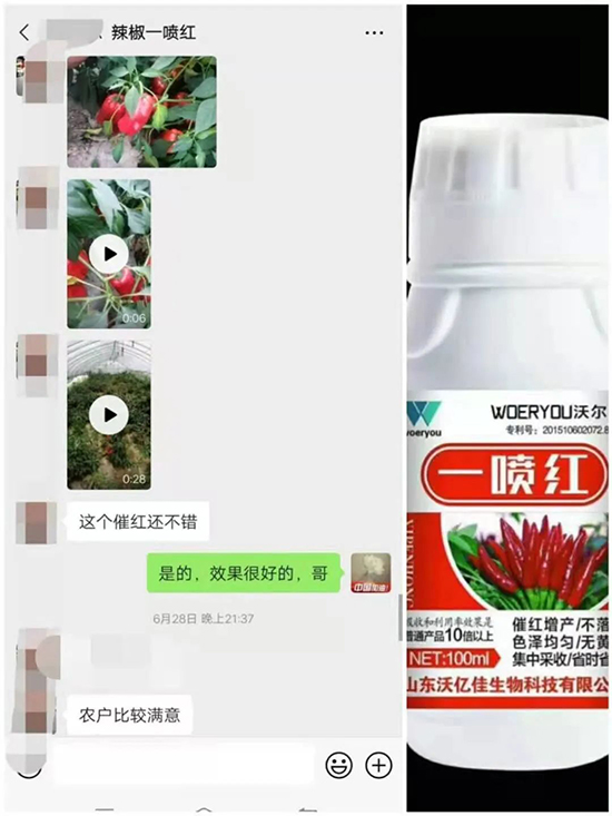 ���t�����95%���߼t�����~�����뷭�׷�����������һ���t��