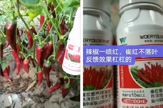 ���t�����95%���߼t�����~�����뷭�׷�����������һ���t��