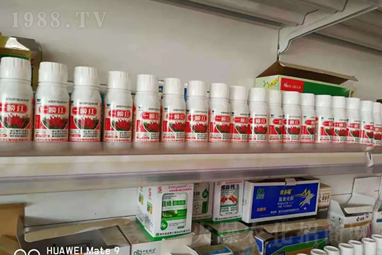 ���t�����95%���߼t�����~�����뷭�׷�����������һ���t��