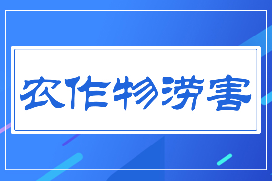 �r(n��ng)�����