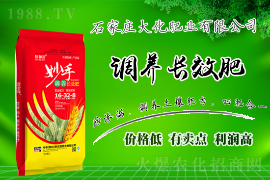 ��(zh��n)�Ժ���������(j��)��ʯ���f�󻯷ʘI(y��)�ٴκ��s1988.TV��