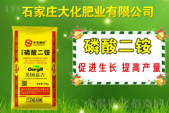 ��(zh��n)�Ժ���������(j��)��ʯ���f�󻯷ʘI(y��)�ٴκ��s1988.TV��