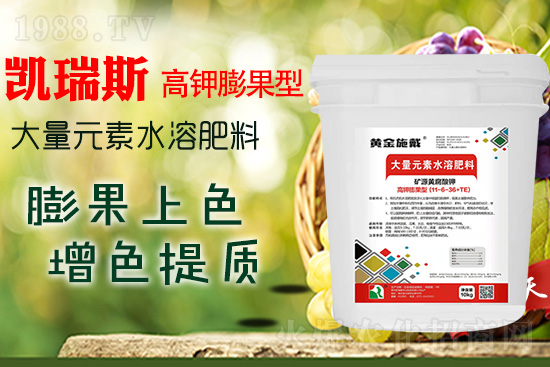     ���M���������ɫ���@���䷽�ʛ]�e���������|���a��