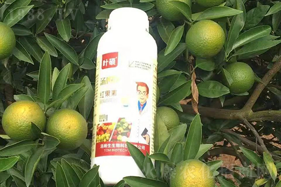 �t���ء�ֻ���D(zhu��n)ɫ�������D(zhu��n)ɫ���������߼t���ó���