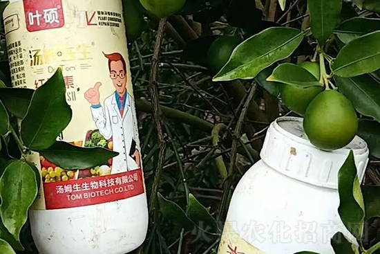 �t���ء�ֻ���D(zhu��n)ɫ�������D(zhu��n)ɫ�����ߣ��߼t���ó���