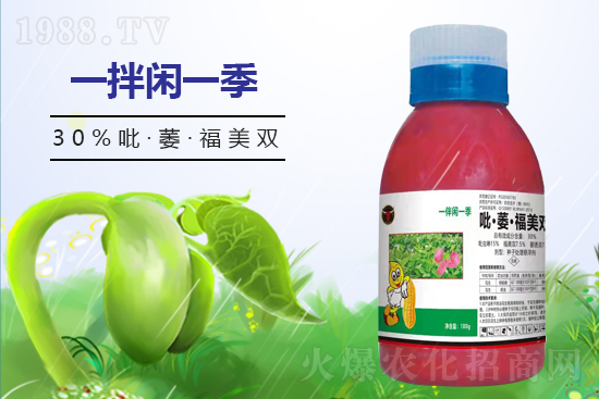 ��(gu��)��ţ����(gu��)�H��ֲ�ﱣ�o(h��)���޹�˾2