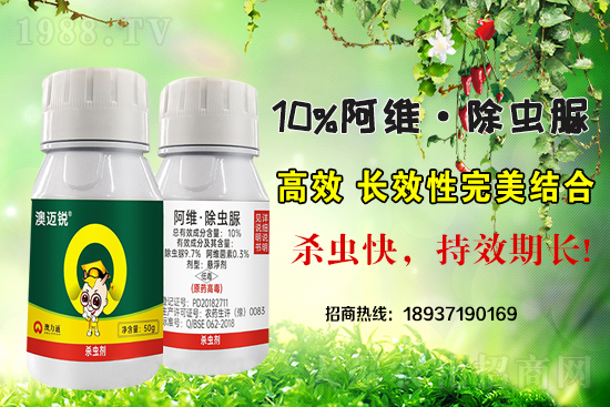 ���x(ch��ng)���r(ji��)��