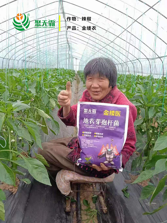 ��|�t(y��)����ѿ�ߗU��-�۟o(w��)��3