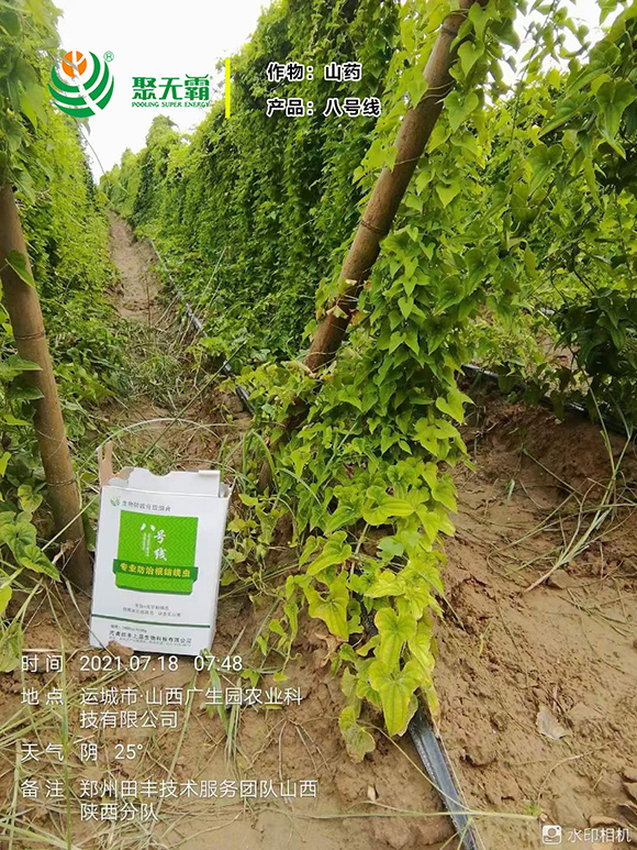 �������߾�+���S����-��̖(h��o)��-�۟o(w��)��4