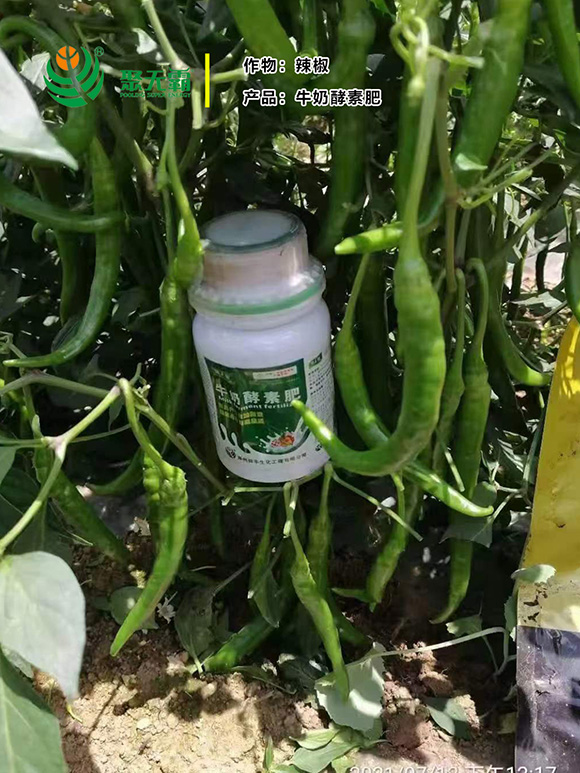 ţ�̽��ط�-�۟o(w��)��3