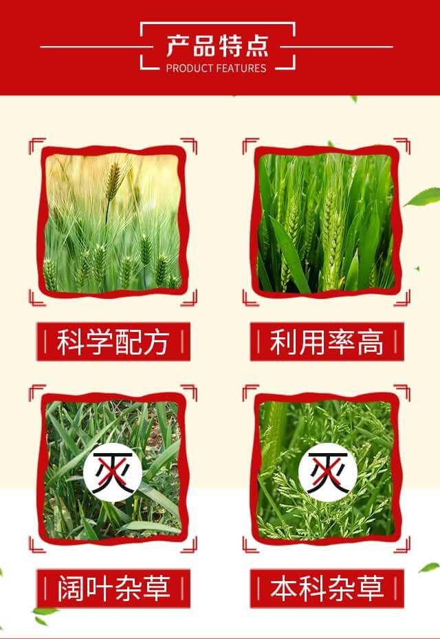 �����R-�S�՘�_03