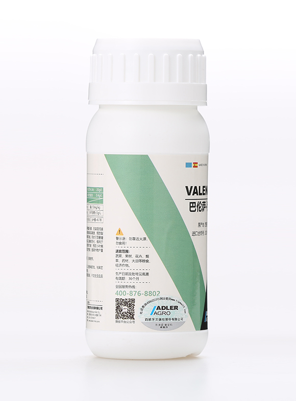 �͂��_���}�V5