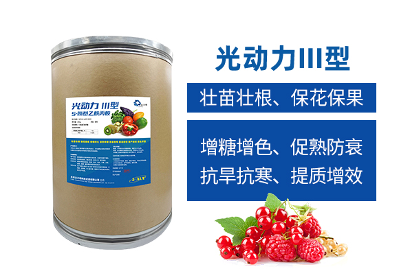 ����������Ƽ��l(f��)չ���޹�˾1_02