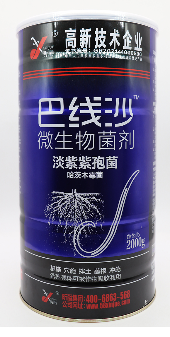 ΢�������-�;�ɳ-꿾�3