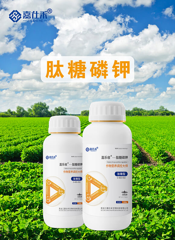 �������������0-400-450-�Θ�(l��)��-���˺�_01