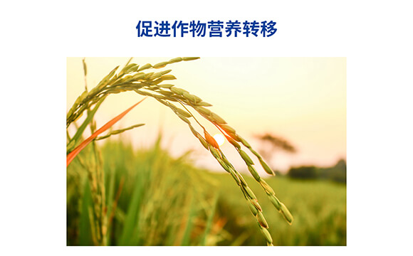 �������������0-400-450-�Θ�(l��)��-���˺�_06