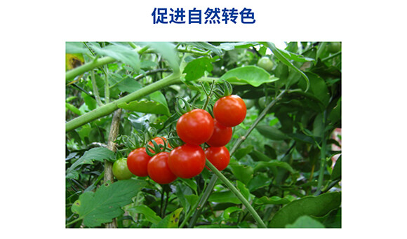 �������������0-400-450-�Θ�(l��)��-���˺�_07