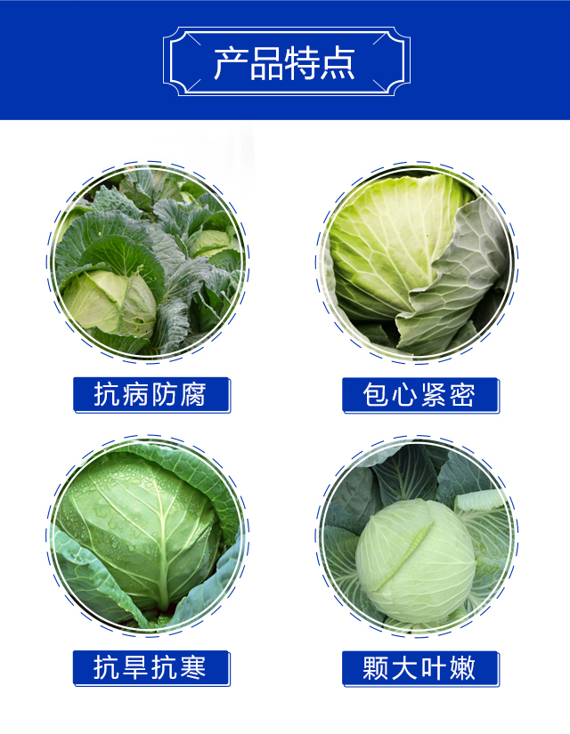 �������Ą�-����_04