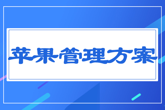 �O����������