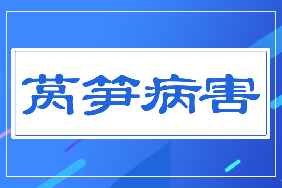 ���n�S����