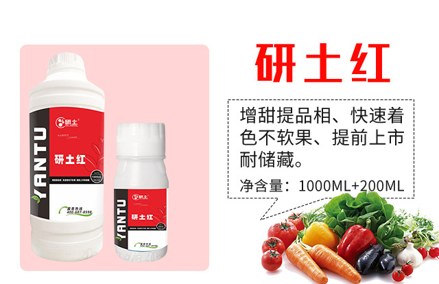 �����D(zhu��n)ɫ�������t-��������_03