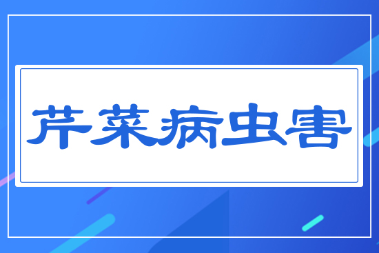 �۲˲��x(ch��ng)��