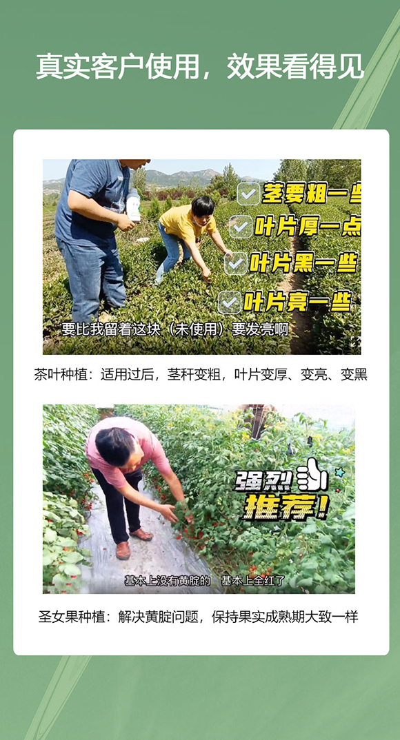 ���徫-����΢-��������5