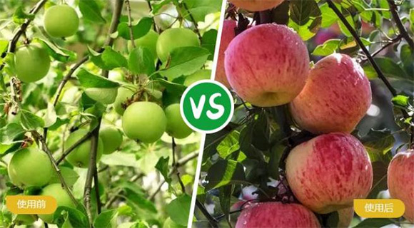 葡萄專用大量元素水溶肥料19-19-19+TE-農(nóng)富天下6