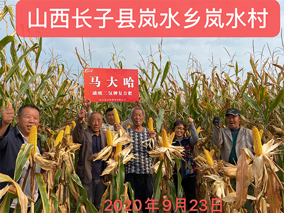 ���׌������������͏�(f��)�Ϸ���26-11-11-�R���-�r(n��ng)������6