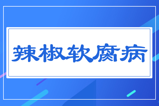 ����ܛ����