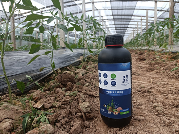 �ך������ϳ���Һ-�_����ѿ2