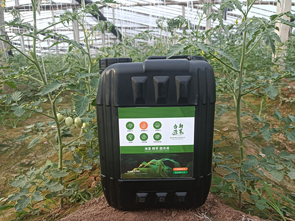 ���徫�ͳ���Һ-�_����ѿ2